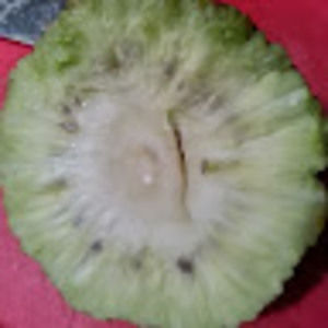 Meet your Posher, Margaret